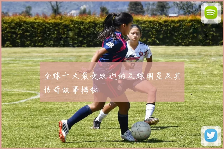 全球十大最受欢迎的足球明星及其传奇故事揭秘