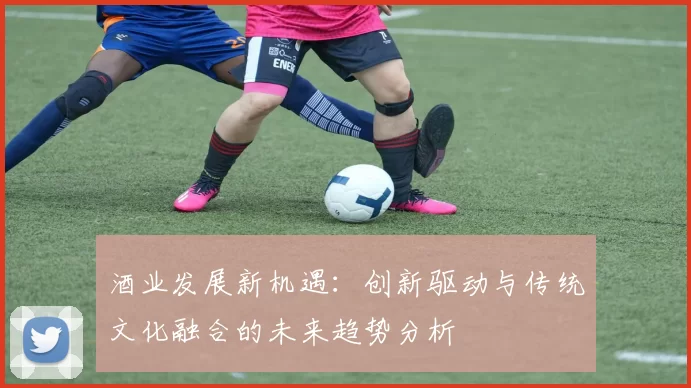 酒业发展新机遇：创新驱动与传统文化融合的未来趋势分析