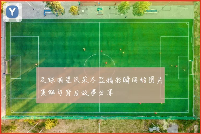足球明星风采尽显精彩瞬间的图片集锦与背后故事分享