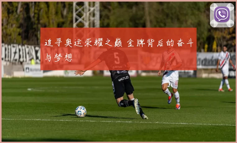 追寻奥运荣耀之巅 金牌背后的奋斗与梦想