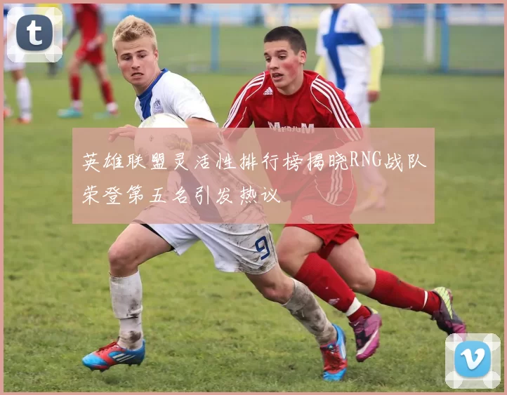 英雄联盟灵活性排行榜揭晓RNG战队荣登第五名引发热议