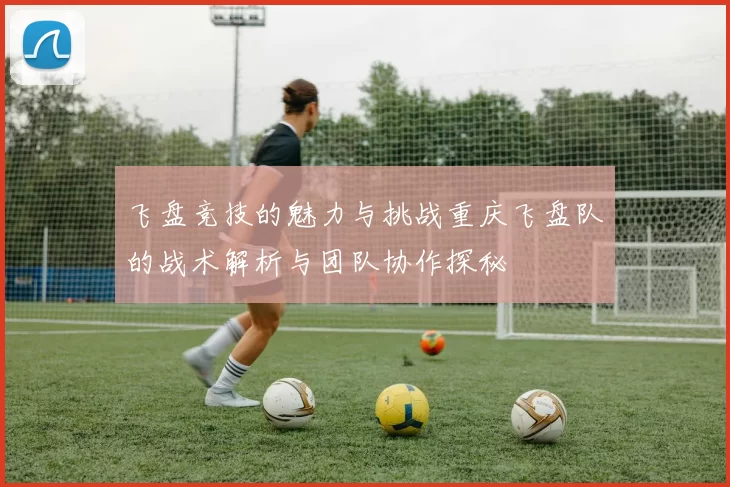 飞盘竞技的魅力与挑战重庆飞盘队的战术解析与团队协作探秘