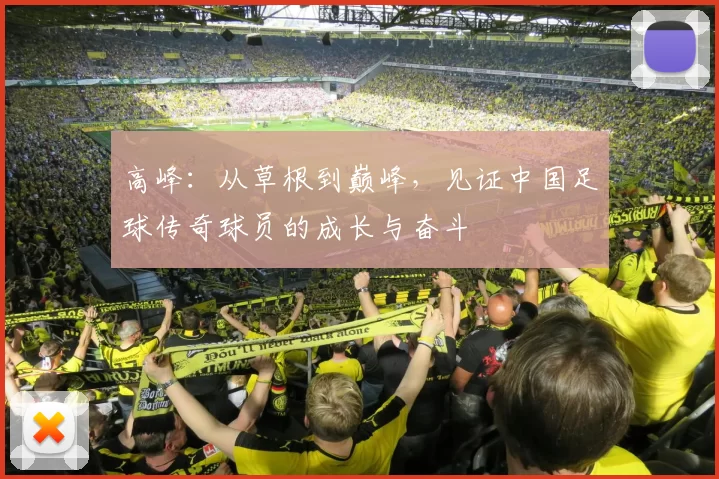 高峰：从草根到巅峰，见证中国足球传奇球员的成长与奋斗