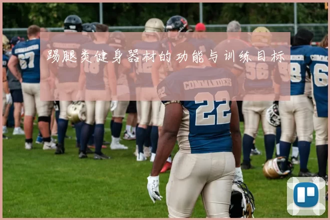 踢腿类健身器材的功能与训练目标
