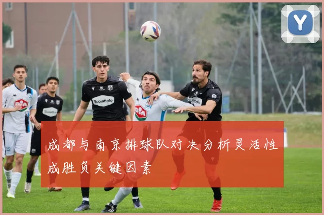 成都与南京排球队对决分析灵活性成胜负关键因素