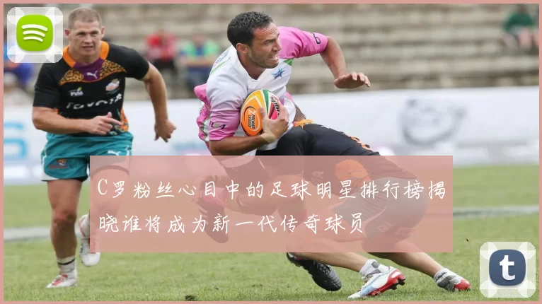 C罗粉丝心目中的足球明星排行榜揭晓谁将成为新一代传奇球员