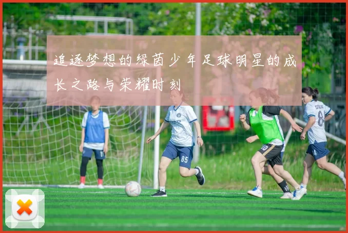 追逐梦想的绿茵少年足球明星的成长之路与荣耀时刻