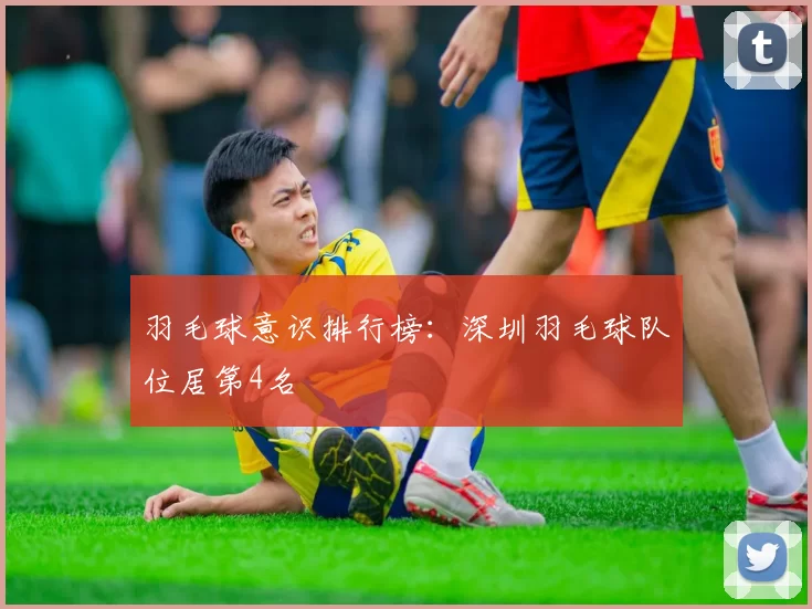 羽毛球意识排行榜：深圳羽毛球队位居第4名