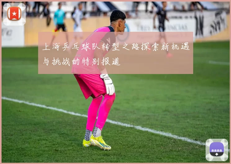 上海乒乓球队转型之路探索新机遇与挑战的特别报道