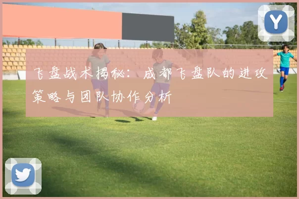 飞盘战术揭秘：成都飞盘队的进攻策略与团队协作分析