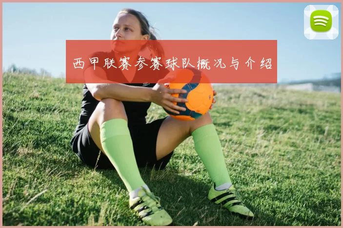西甲联赛参赛球队概况与介绍