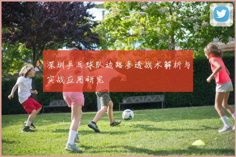 深圳乒乓球队边路渗透战术解析与实战应用研究
