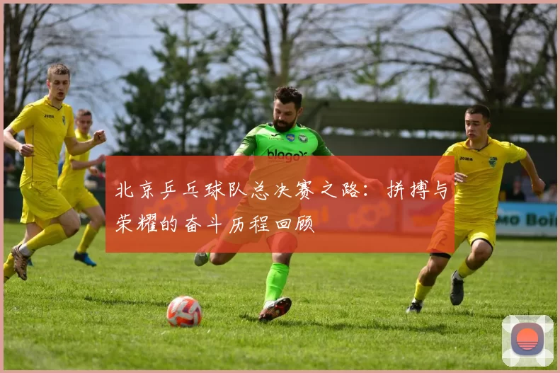 北京乒乓球队总决赛之路：拼搏与荣耀的奋斗历程回顾