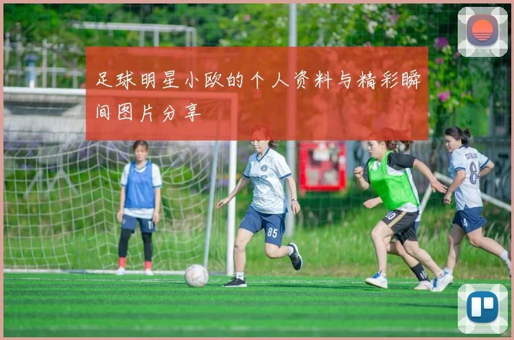 足球明星小欧的个人资料与精彩瞬间图片分享