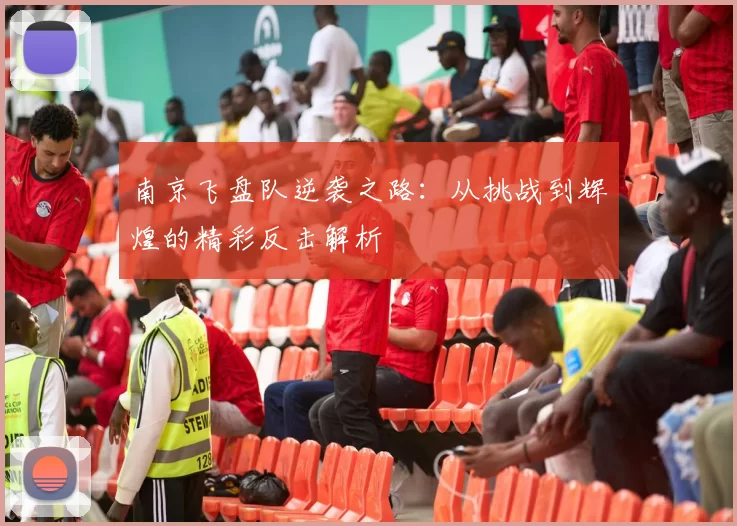 南京飞盘队逆袭之路：从挑战到辉煌的精彩反击解析