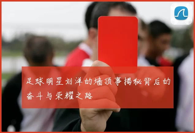 足球明星刘洋的墙顶事揭秘背后的奋斗与荣耀之路