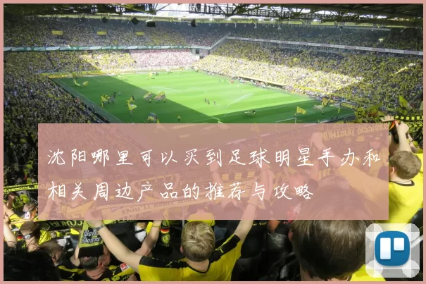 沈阳哪里可以买到足球明星手办和相关周边产品的推荐与攻略
